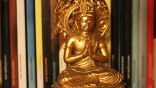 The Buddhas Key Teachings in The Lotus Sutra [upl. by Nachison]