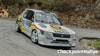 BEST OF 205 MAXI GTI RALLYE  CHECKPOINTRALLYE [upl. by Cordalia]