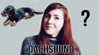 How To Pronounce Dachshund [upl. by Victoir208]