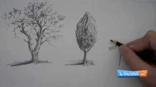 How to Draw Trees [upl. by Kenward]