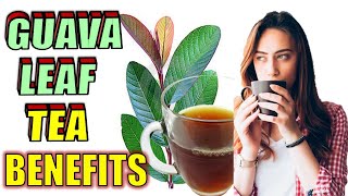 19 Incredible Guava Leaves Tea Water Benefits amp Uses [upl. by Sieber103]