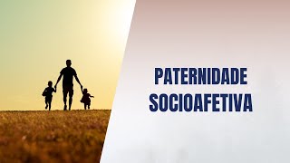 Paternidade socioafetiva [upl. by Lehsar603]