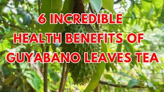 6 HEALTH BENEFITS OF GUYABANO LEAVES TEA  SideEffects  How To Make It [upl. by Lady]