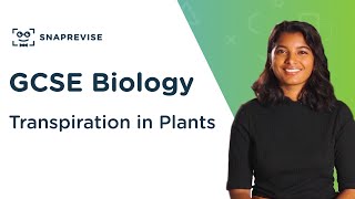 Transpiration in Plants  91 GCSE Science Biology  OCR AQA Edexcel [upl. by Zetneuq418]