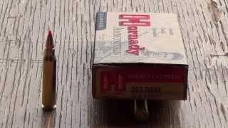 223 Remington Hornady 55gr VMAX Review [upl. by Garrick]