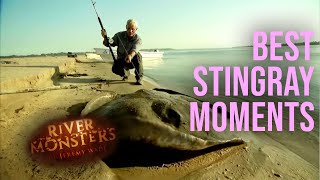 Best Of Stingrays  COMPILATION  River Monsters [upl. by Avruch]