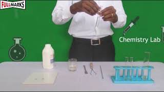 Lab Manual Science CBSE Class 10 Experiment No 8 Properties of Acetic Acid [upl. by Balling]