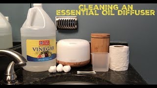 How To Clean An Essential Oil Diffuser [upl. by Eceertal]