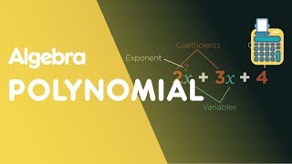 What Are Polynomials  Algebra  Maths  FuseSchool [upl. by Urbani]