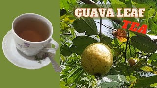 Guava Leaf BENEFITS  How to Make GUAVA LEAF TEA  SIDE EFFECTS of Guava Leaves  Earths Medicine [upl. by Eugine]