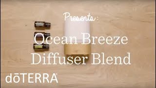 DIY Ocean Breeze Diffuser Blend using Lavender Essential Oil [upl. by Nylahsoj]