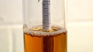 How to Use a Hydrometer for Homebrewing [upl. by Ayikan4]