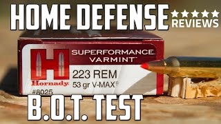 Hornady 223 53gr VMAX Ammunition for Personal Defense [upl. by Carbrey]