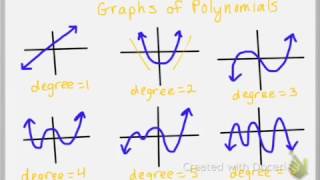 Introduction to Polynomial Functions [upl. by Floridia474]