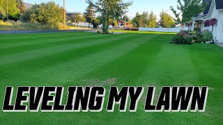 How to TOP DRESS your lawn for a FLAT LEVEL surface [upl. by Orlantha162]