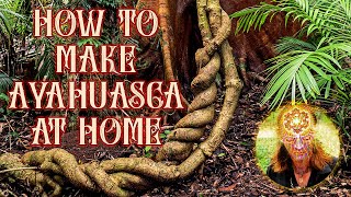 How to Make Ayahuasca Super Easy [upl. by Etnuhs18]