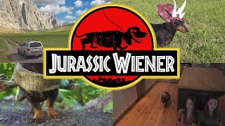 Ep 1 quotJurassic Wienerquot  Dachshund Dinosaurs [upl. by Sieber]