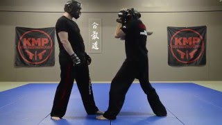 KRAV MAGA Demonstration [upl. by Rengaw]