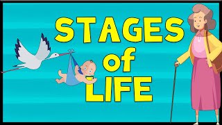 Stages of Life  Vocabulary  Minimal English [upl. by Ecilegna]