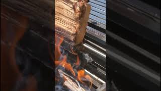 Argentina BBQ Authentic Asado How to season your grill Argentine parrilla grill [upl. by Neiv]